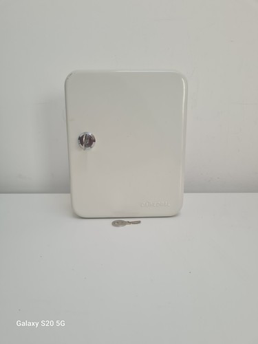 Cathedral Key Cabinet For 20 Keys (Has Spare Key) Office, Mancave Good Condition - Picture 4 of 10