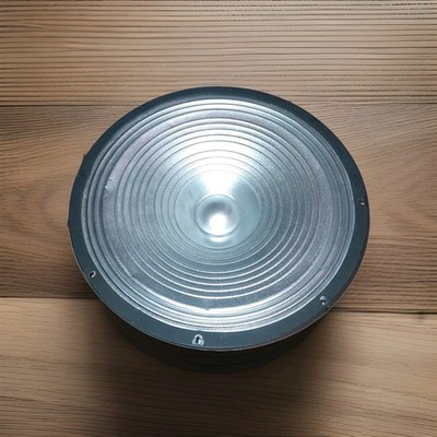15'' subwoofer Replacement Speaker  Home Audio woofer Bass Fifteen inch