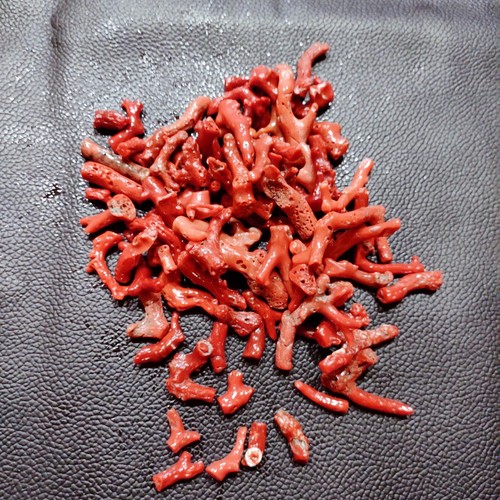 Natural Red-Orange Sea Coral Branch Red Coral Polished Rough Gemstone 100"ct Lot - 第 7/8 張圖片