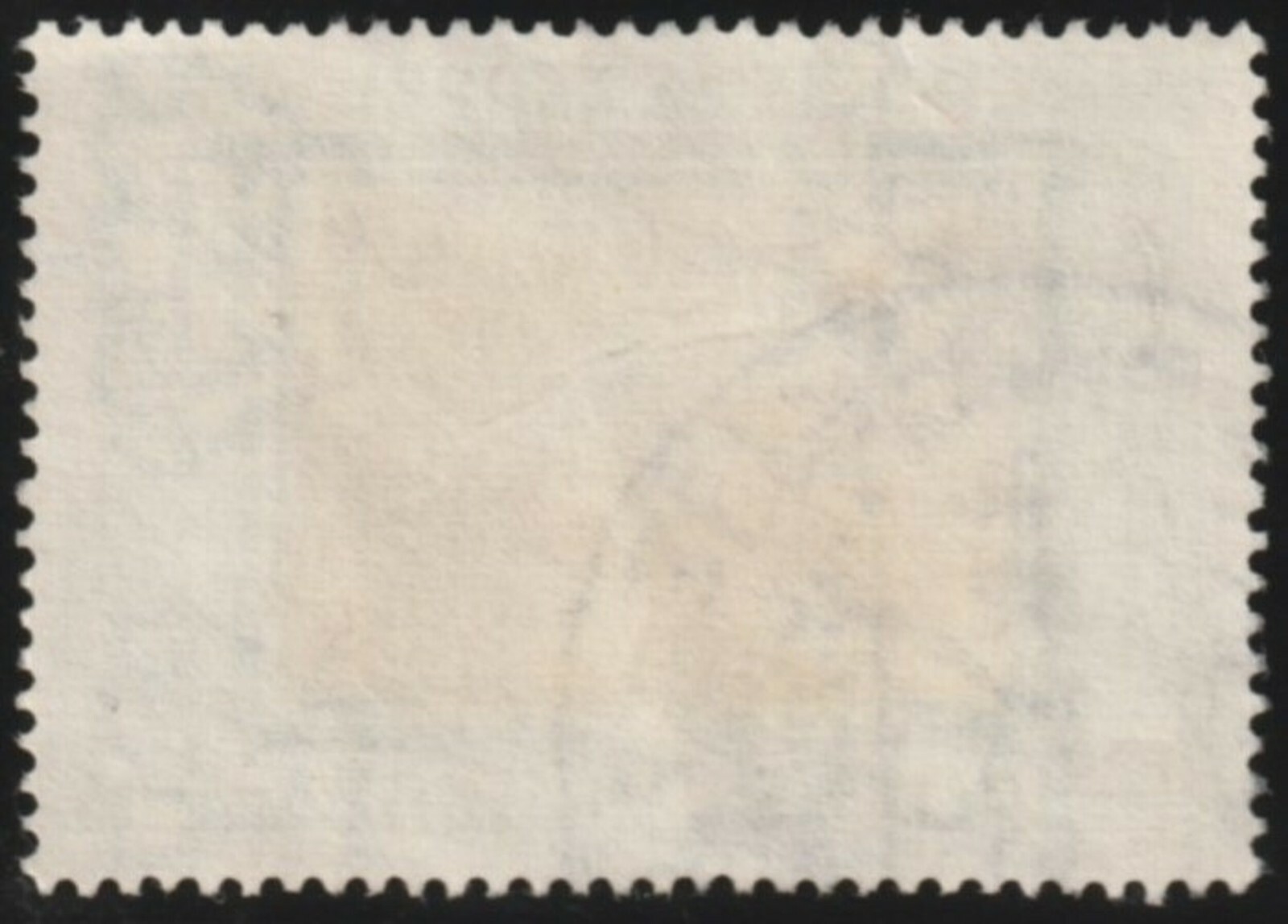 Foto 2 di 3