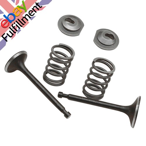 1 Set Valve Springs For Honda GX160 GX200 168F 170F 5.5-6.5HP Gasoline Engine