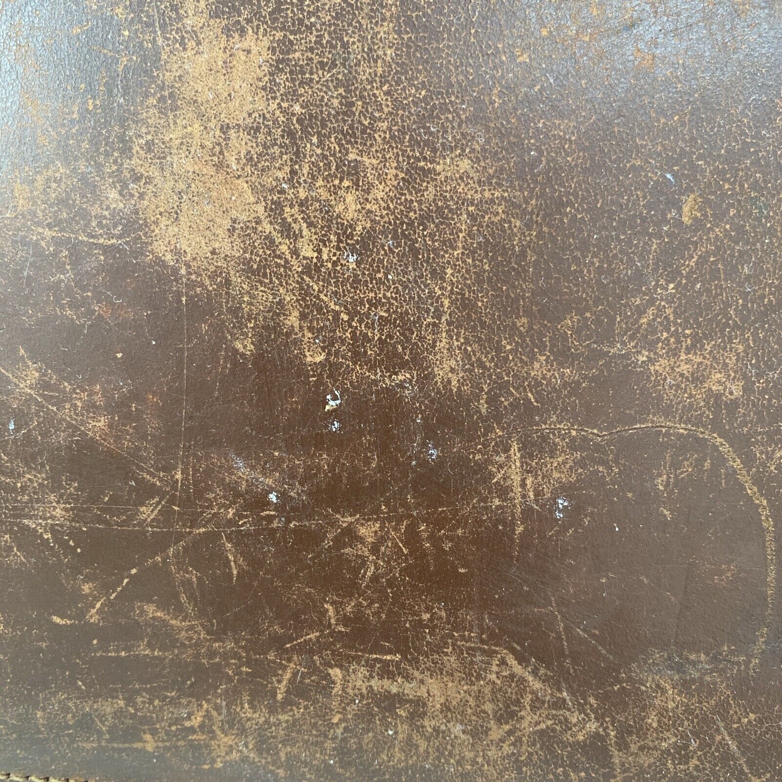 Picture 10 of 23