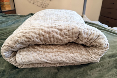 Restoration Hardware Velvet Holiday Bedding --Champagne  -- Full/Queen Quilt
