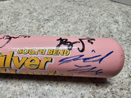 South Bend Silver Hawks MiLB Diamondbacks MLB 2013 18 X's handsigniert... - Bild 3 von 11