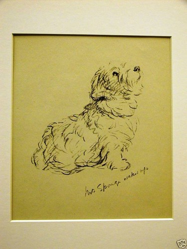 Lucy Dawson 1937 SEALYHAM CACHORRO perro impresión artística mate - Imagen 2 de 5