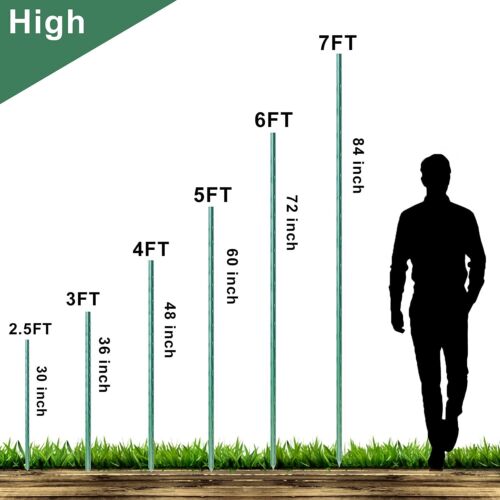 Garden Stakes 36 inch 3ft Sturdy Plant Sticks/Support, Tomato Stakes, Pack of 30 - Picture 2 of 6