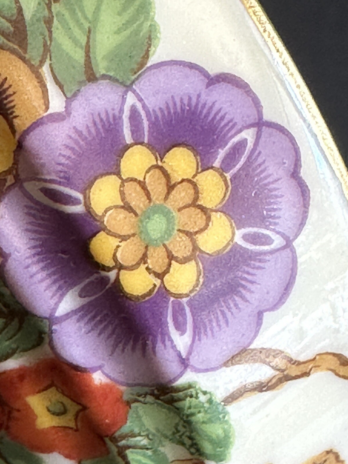 Picture 20 of 24