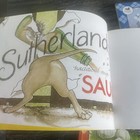 Bild 7 von 7