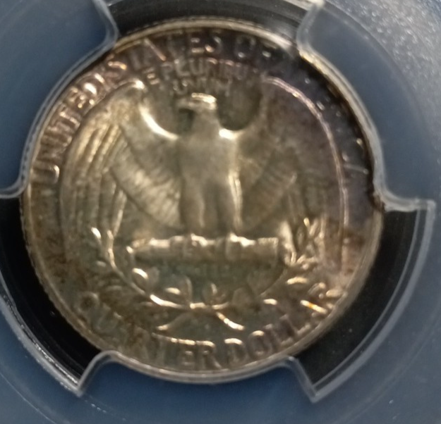 Picture 5 of 5