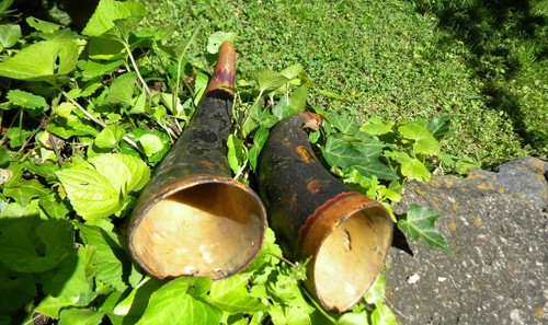 Verzierte Hörner - Bild 4 von 6