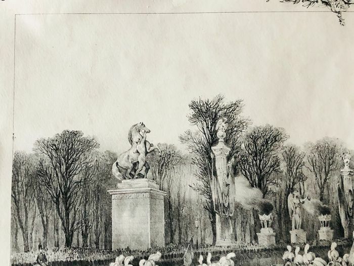 Picture 4 of 8