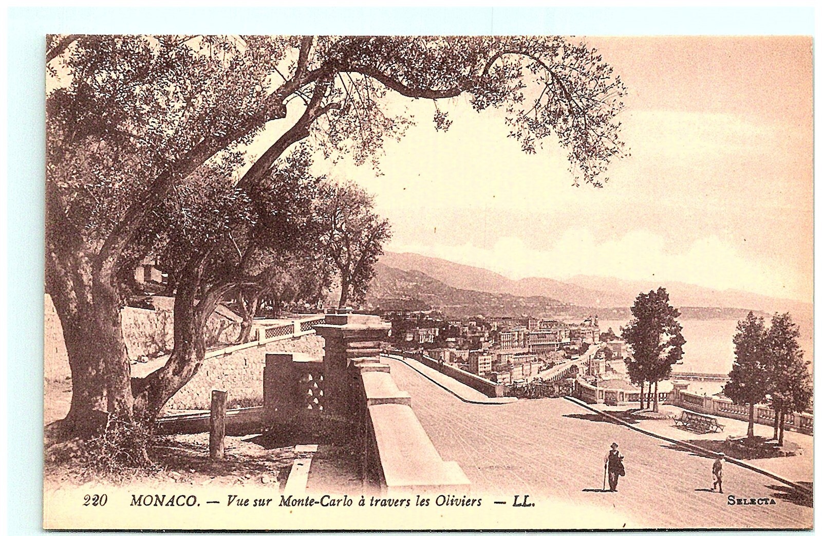 S03-9693, Monaco, Vue Sur Monte-Carlo A Travers Les Oliviers, Vintage Postcard