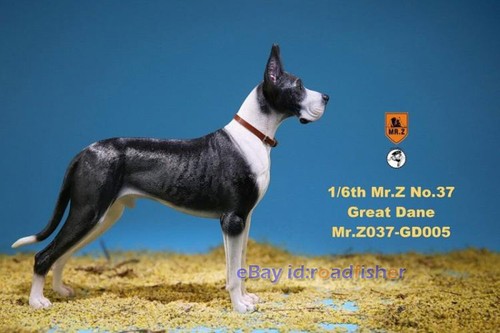 Mr.Z 1/6 Alemán Gran Danés Perro Mascota Figura Animal Decoración Modelo Coleccionista Pintado - Imagen 21 de 29