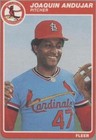 1985 Fleer - Joaquin Andujar #220