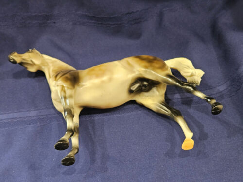 Peter Stone Winterhawke 2001 Arabian Stallion Taditional Laurie Jo Jensen - Picture 7 of 8