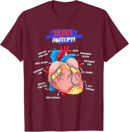 Anatomy Human Heart Anatomical Cardiac Heart Doctor Medical T-Shirt Hoodie - Picture 18 of 18