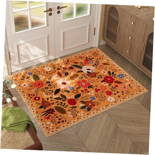 Door Mat Indoor Entrance 2x3 Rug Machine Washable Boho Floral Small Area Rug