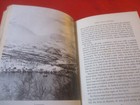 Foto 7 di 10