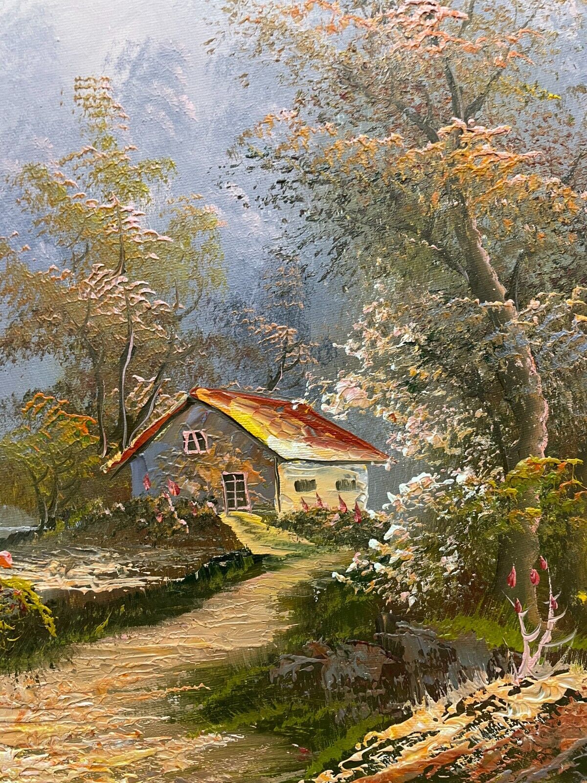 Foto 5 di 6