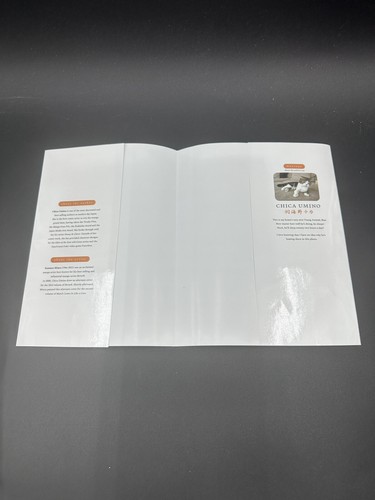 March Comes in Like a Lion Jacket Vol 2 Limited Edition (Kentaro Miura) - Bild 4 von 4
