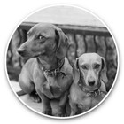 2 x Vinyl Stickers 25cm (bw) - Daschund Sausage Dog Pet #37262
