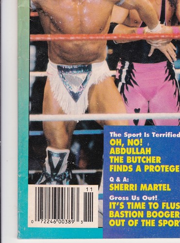 The Wrestler Magazine November 1993 Wrestling Bret Hart Lex Luger Tatanka WWF - Picture 5 of 10