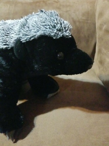 2012 Wild Republic Cuddlekins 12" Honey Badger Stuffed Plush 12238 Black Ratel - Picture 7 of 12