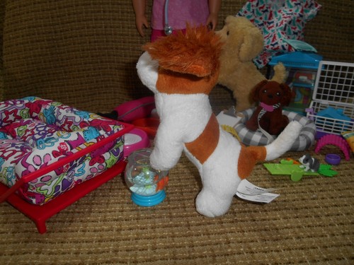 Lotto animali domestici American Girl OG posabili peluche cani veterinario bambola albicocca Cooper letti pesci + - Foto 13 di 24