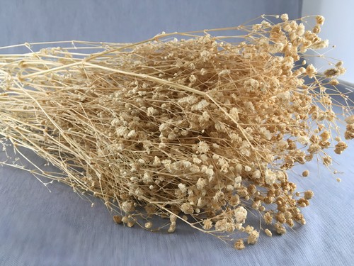 CalCastle Craft getrocknet natürlicher Babyatem 17,5"x12"x8,5" - Bild 18 von 18