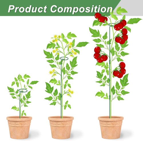 6 Pack (DIY) Plant Support Stakes, Three Sizes (12 or 24 or 36 inch) Plant Su... - Picture 2 of 7