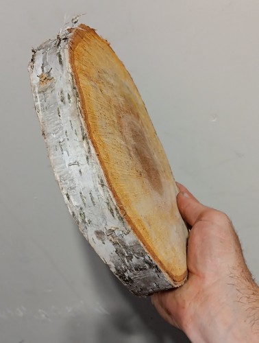 Rebanada de madera de abedul, corte áspero - Imagen 2 de 5