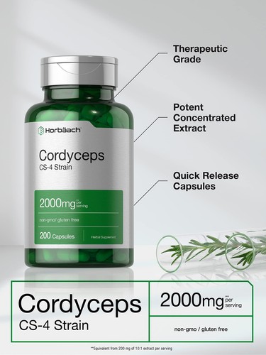 Horbäach Cordyceps Mushroom Capsules 2000mg | 200 Count | CS-4 Strain Cordyceps - Picture 3 of 7