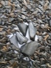Bild 17 von 22