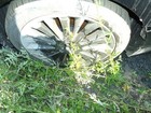 Bild 12 von 12