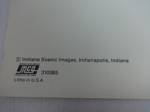Danny Ongais Indianapolis 500 Postcard Out of Print New Interscope Racing - Picture 4 of 7