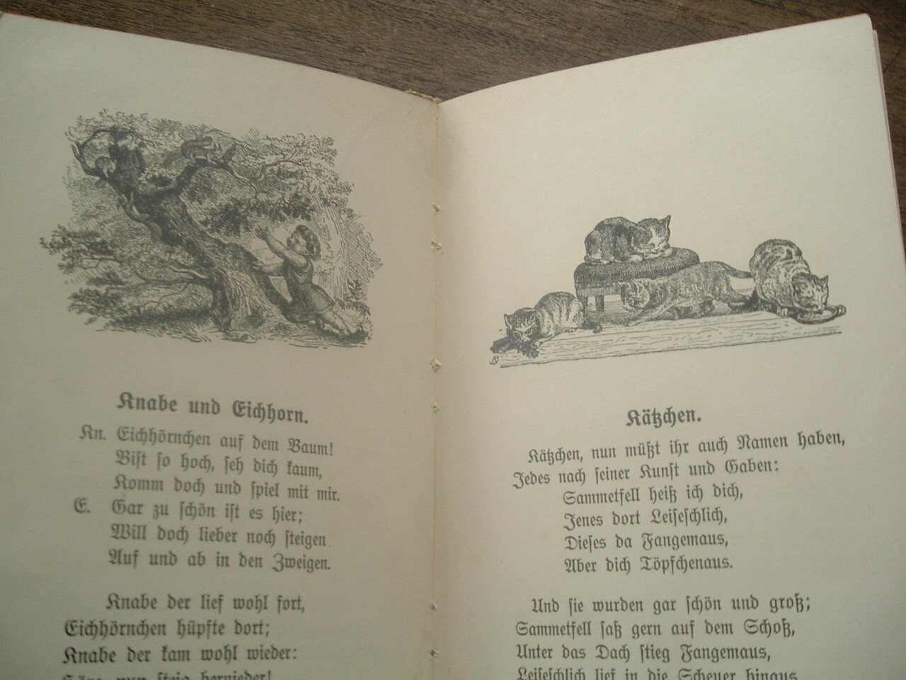 Bild 3 von 3