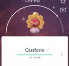 Trade ✨ shiny Sunny Castform✨Pokemon (Registered Trade Only)