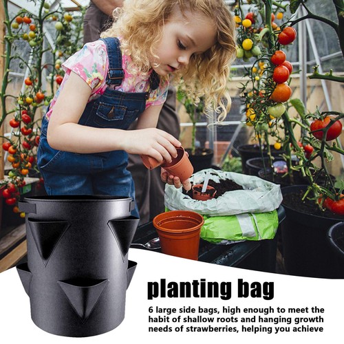 Strawberry Planters Outdoor Garden Planting Pots With 6 Side Grow Pockets - Picture 5 of 9