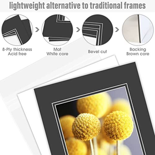 11x14 Double Picture Mats for 8x10 Photo Mats Backing Clear Bags Included - Picture 6 of 21