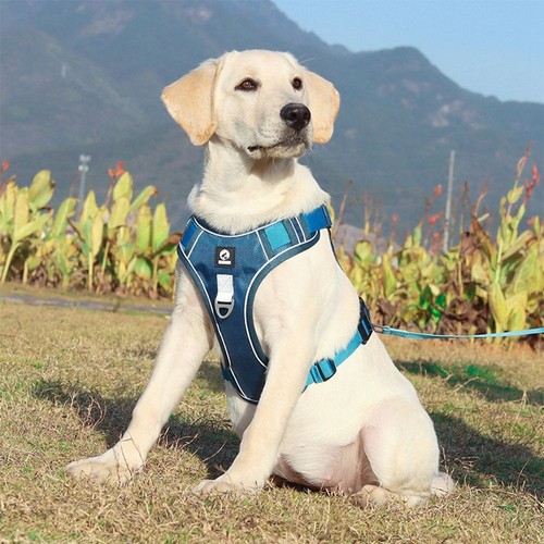 Big Dog Harness No Pull Adjustable Pet Oxford Reflective Soft Vest For Large Dog - Picture 10 of 16