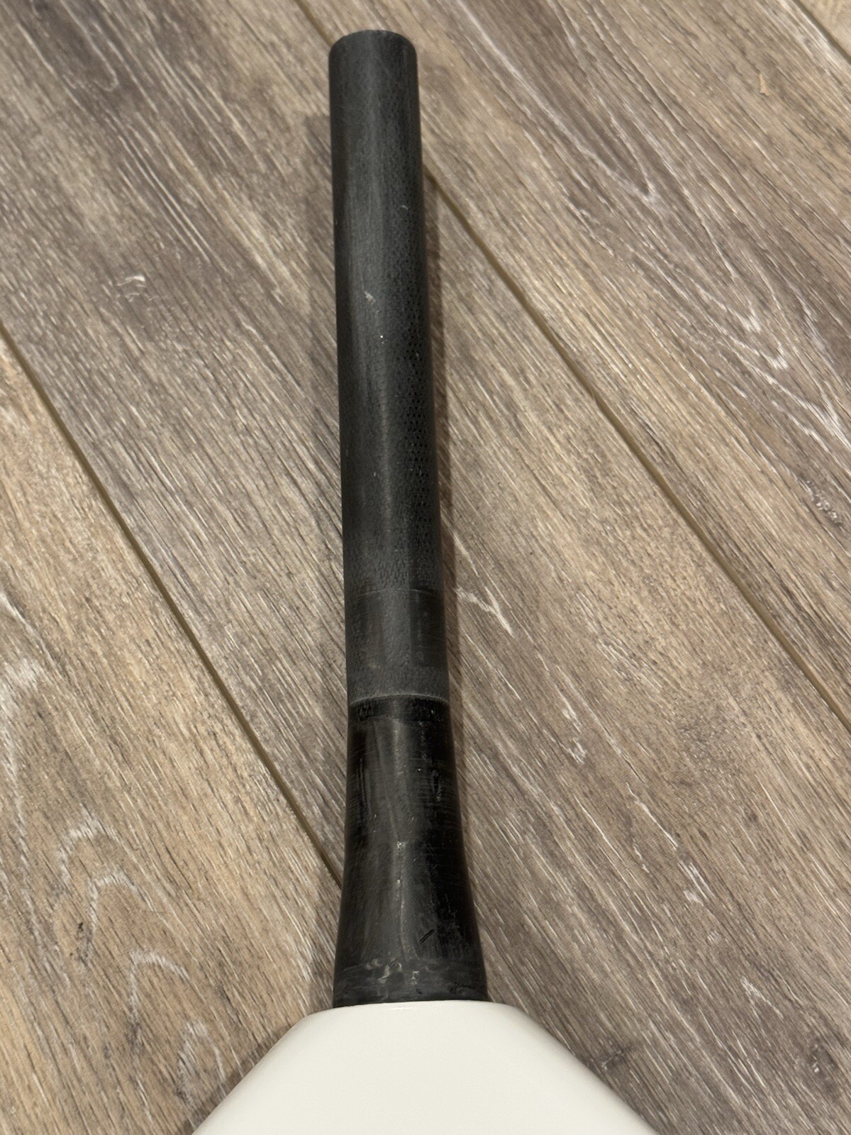 Picture 5 of 6