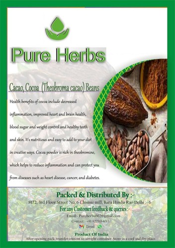 Pure Herbs Cacao Cocoa Theobroma cacao Beans - Picture 16 of 16