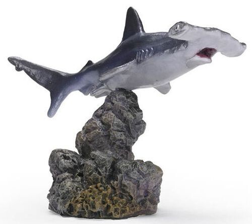 Hammer Head Shark 廃盤2枚 Hammer Head Shark 廃盤2枚 Hammer Head Shark 廃盤2枚 CD