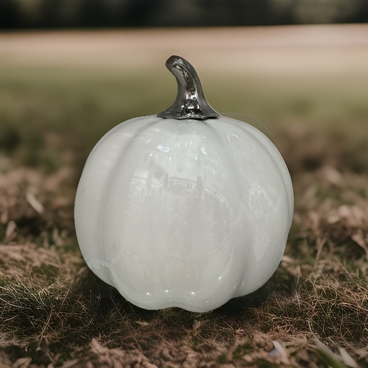 Martha Stewart Mr & Mrs Est 2025 Ceramic Pumpkin Silver Stem