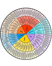 Feelings Wheel Large 12 inch Acrylic Emotion Wheel Chart For Therapy School C