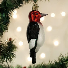 Old World Christmas - Red-Headed Woodpecker - 16140