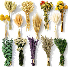 150Pcs DIY Natural Dried Flower Set, Preserved Mini Flowers Bouquets