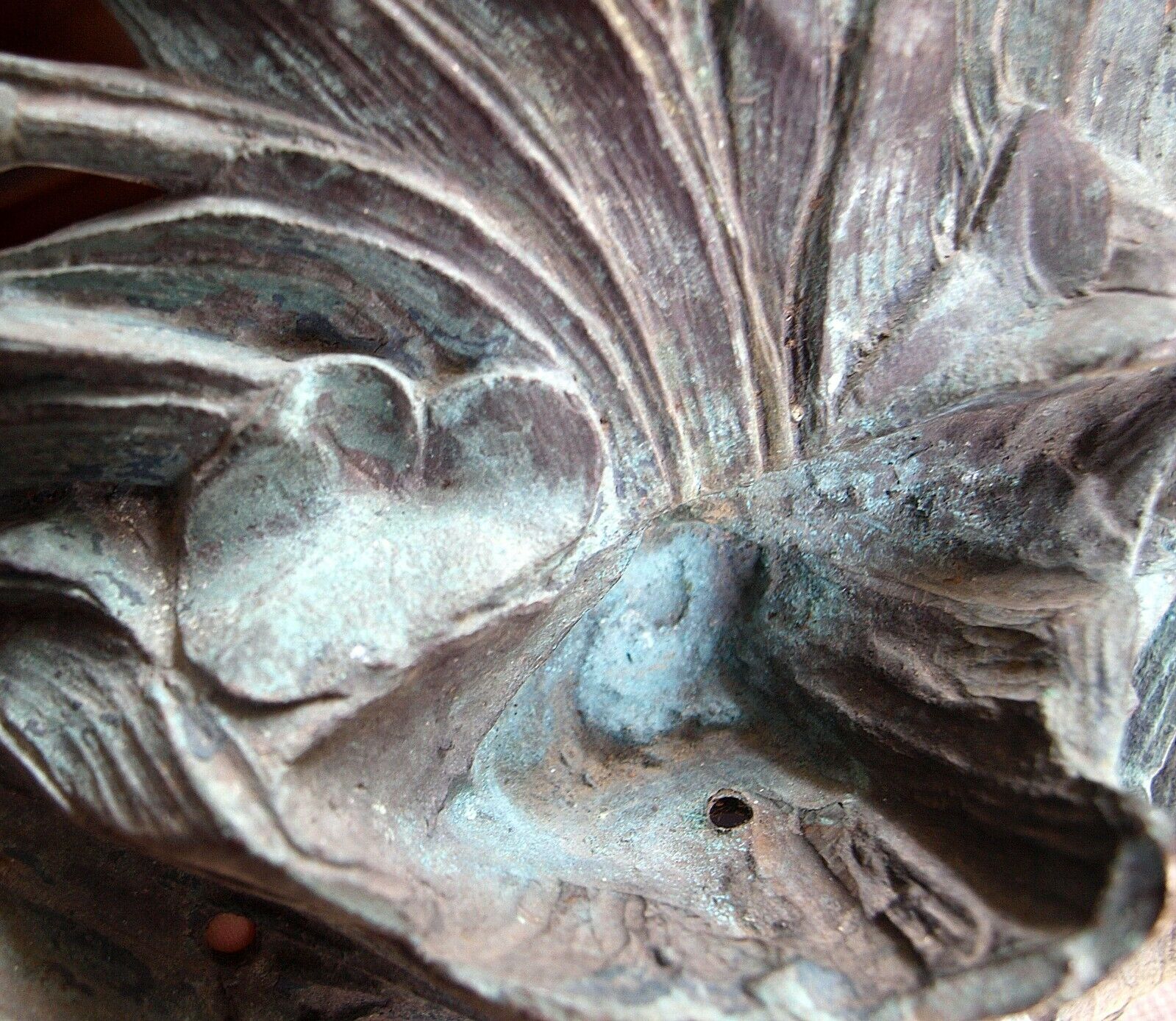 Picture 5 of 10
