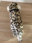 Foto 4 di 8
