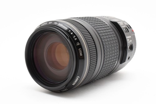 Canon EF 70-300mm F4-5.6 IS USM Zoom Lens With Caps From Japan Near MINT - Picture 2 of 12